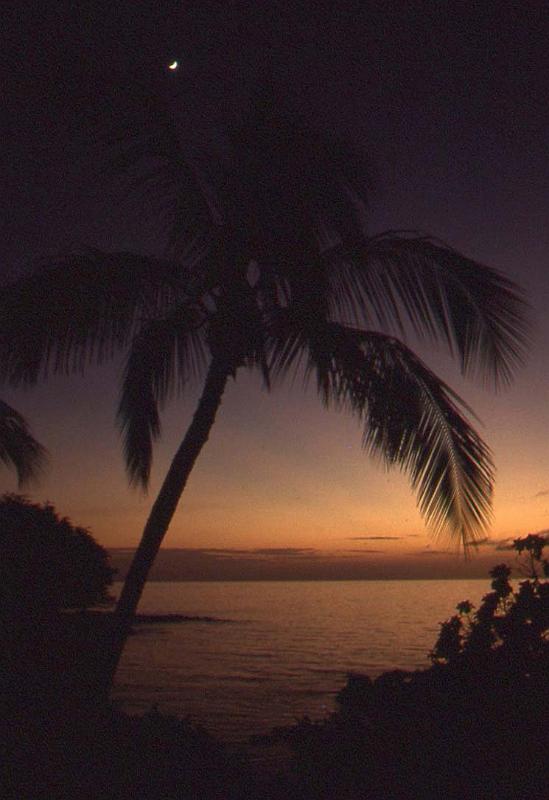 WT 0035 T05-06 Hawaii.jpg